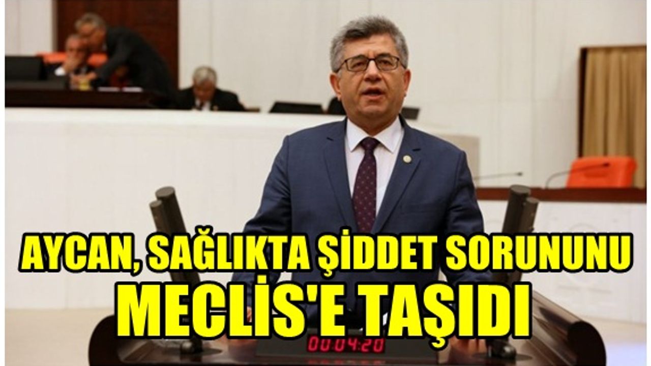 Aycan, sağlıkta şiddet sorununu Meclis’e taşıdı