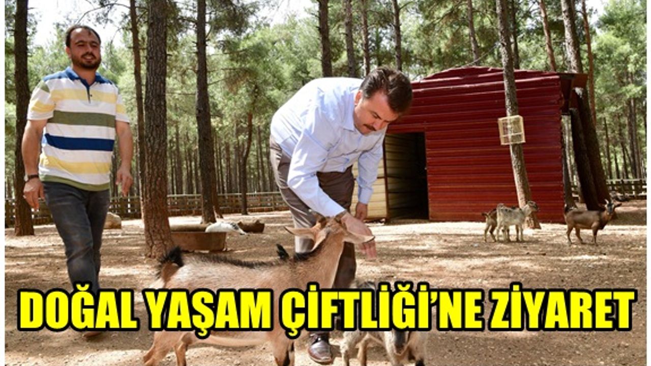 Başkan Erkoç , Arslanbey Mesire Alanı içerisinde yer alan Doğal Yaşam Çiftliğini ziyaret etti