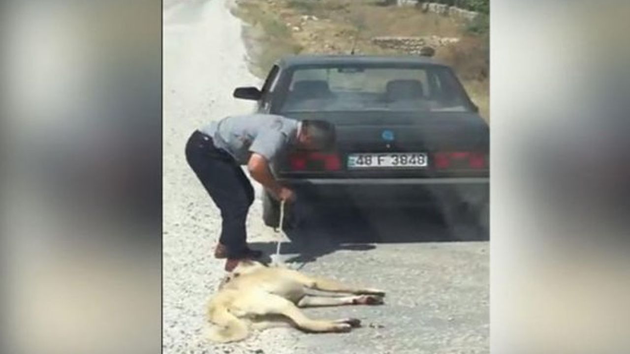 Herkes tepki gösterdi! cezası belli oldu...