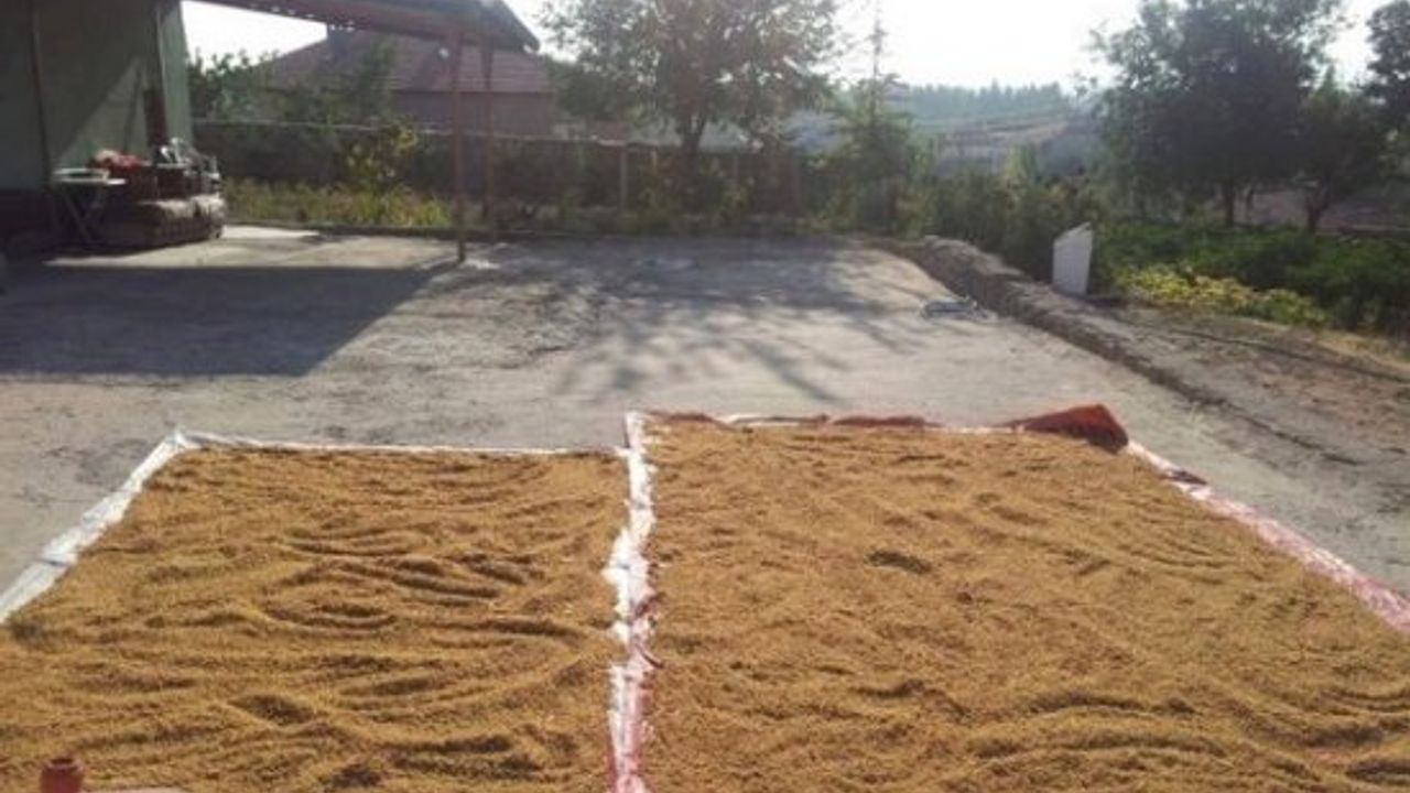 Kahramanmaraş'ta bulgur kaynatma zamanı geldi!