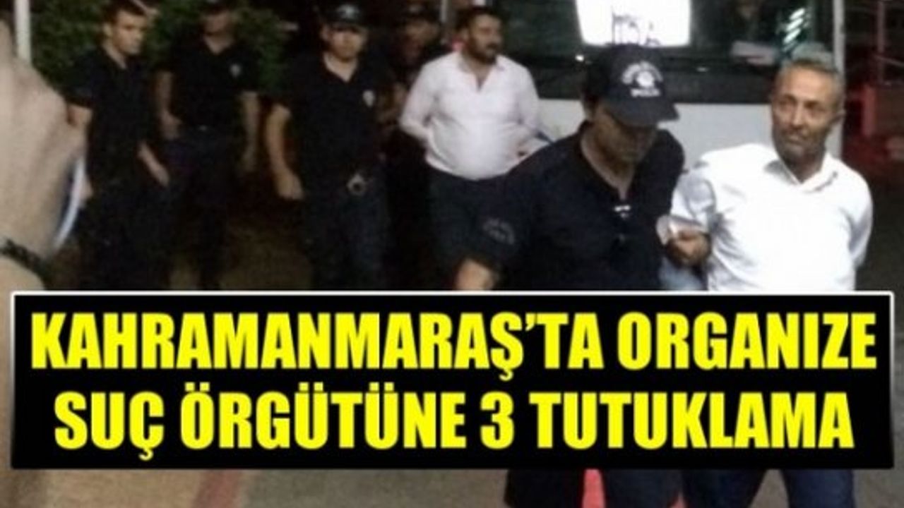 Organize Suç Örgütü Operasyon: 3 Tutuklama
