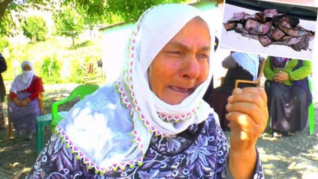 Yangında köylünün evi ve biriktirdiği 155 bin lirası alev aldı
