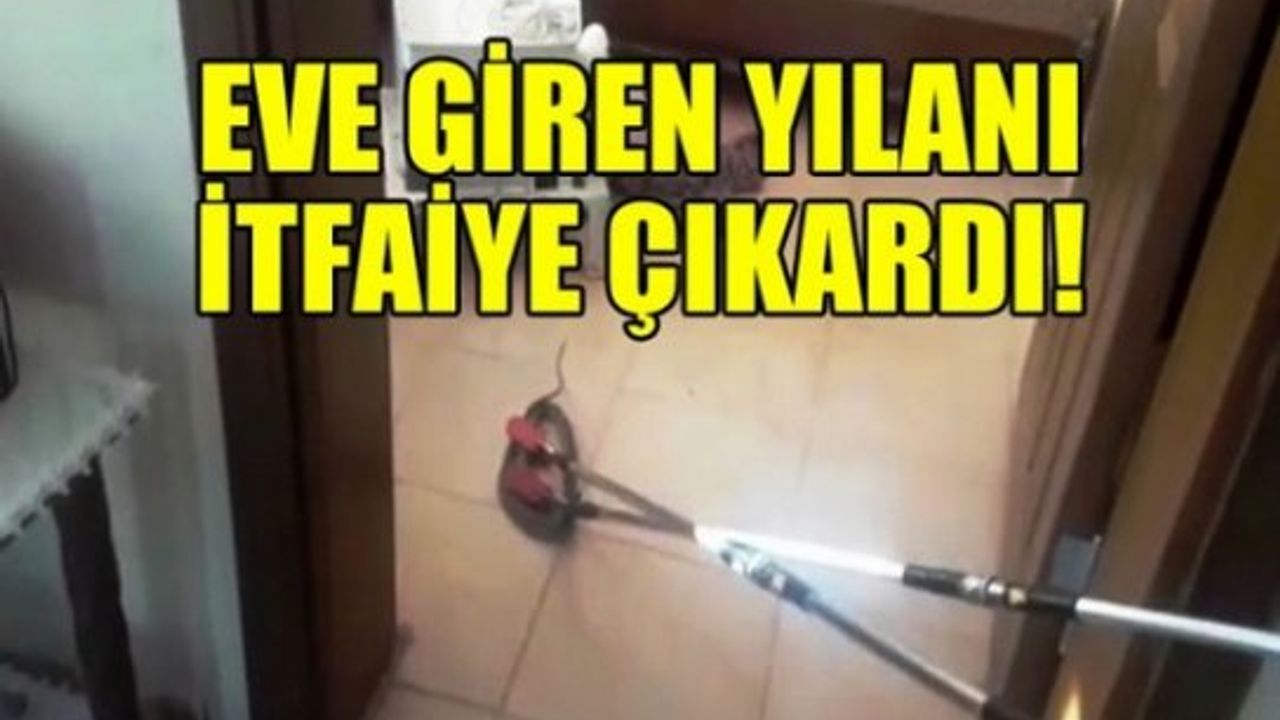 Yılanların bastığı bağ evine itfaiye yetişti!