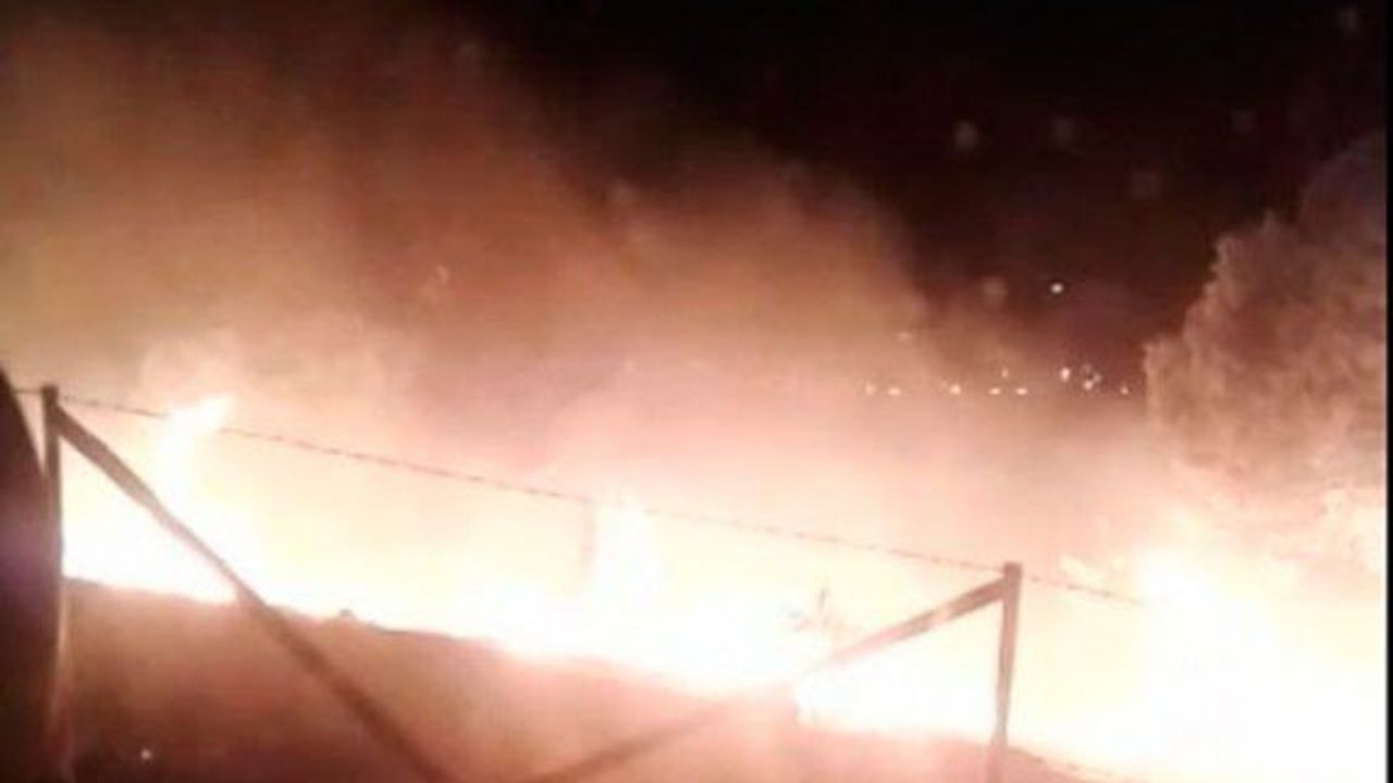 Ayvalık Cennet Tepesi'nde ormanlık cayır cayır yandı!