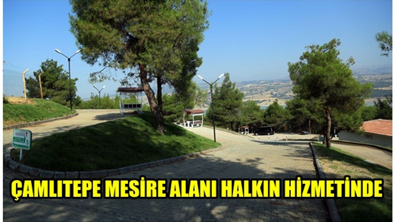 Çamlıtepe Mesire Alanı halkın hizmetine sunuldu