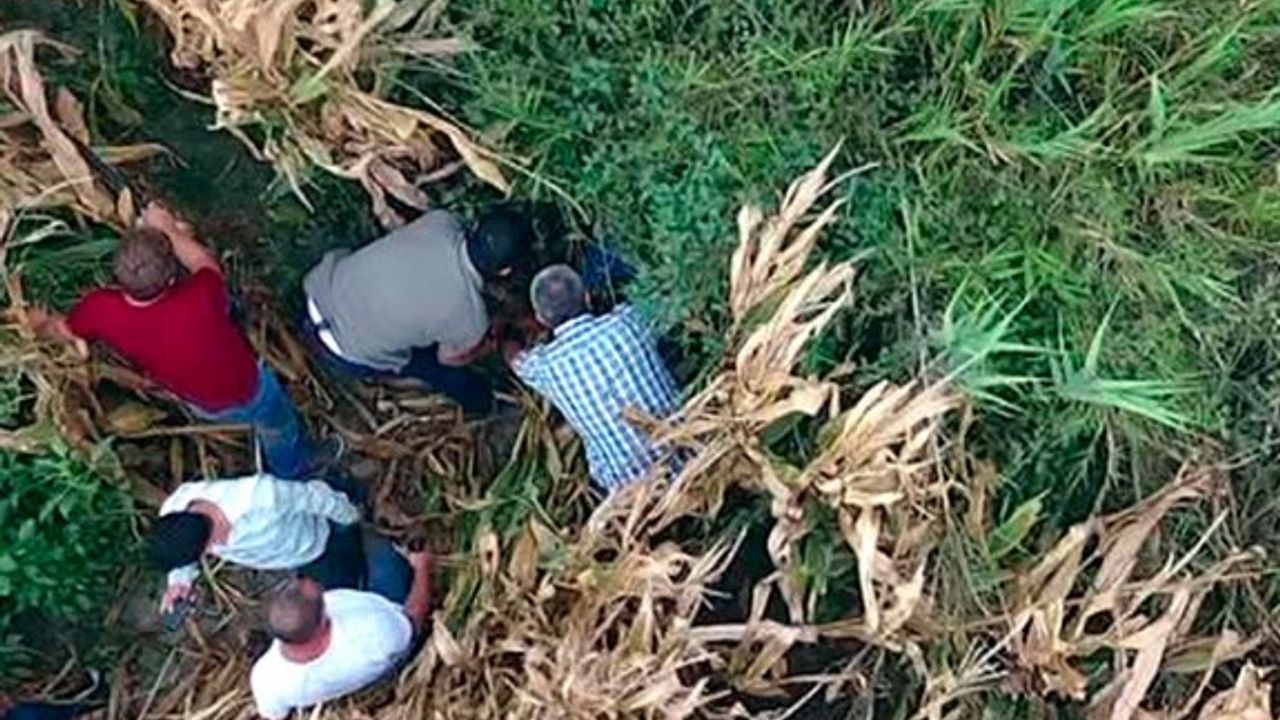 Cezaevi firarisi, drone ile tespit edildiği tarlada yakayı ele verdi!