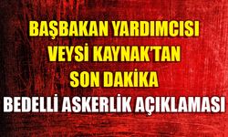 Başbakan Yardımcısı Veysi Kaynak'tan son dakika bedelli askerli açıklaması