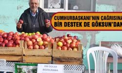 Kahramanmaraş'ta 200 dolar bozdurana bir kasa elma bedava
