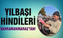 Kahramanmaraş'ta yetiştirilen hindiler Türkiye'nin dört bir tarafına gönderiliyor