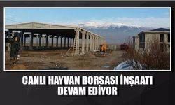 Canlı hayvan borsası inşaatı devam ediyor