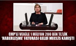 CHP’li Elif Doğan Türkmen’den 1 milyon 200 bin TL’lik ‘haberleşme’ faturası