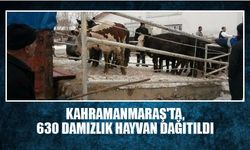 Kahramanmaraş'ta, 630 damızlık hayvan dağıtıldı