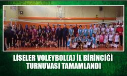 Liseler voleybol (A) il birinciliği turnuvası tamamlandı