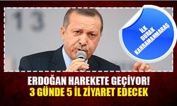 Erdoğan harekete geçiyor! 3 günde 5 il ziyaret edecek
