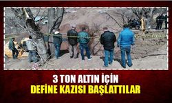 3 ton altın için define kazısı başlattılar