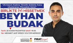 Psikolog Beyhan Budak, Kadına Şiddetle Mücadeleyi Ele Alacak