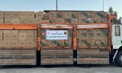 Adana'da 5,5 milyon sahte bandrollü makaron ele geçirildi