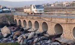 Kahramanmaraş'ın Aksu Çayı'nda Kirlilik