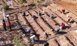 Kahramanmaraş'ta Salep Toprakla Buluşturuldu