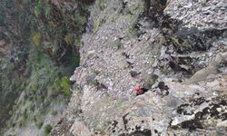 Kahramanmaraş'ta Mahsur Kalan Keçiler Kurtarıldı