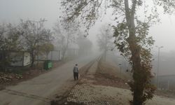 Kahramanmaraş’ta Sis Etkili Oldu