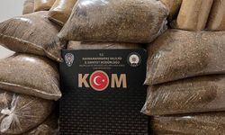 Kahramanmaraş'ta Kaçakçılık Operasyonlarında Tevrat Ele Geçirildi