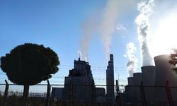 Afşin-Elbistan Kömür Sahasında İş Kazası: 1 Yaralı