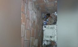 Kahramanmaraş’ta Yavru Kediler İçin İtfaiye Ekipleri Seferber Oldu