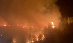 Kahramanmaraş’ta Ormanı Yakan Sanığa Hapis ve Milyonluk Tazminat
