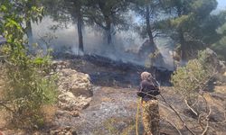 Kahramanmaraş’ta Ormanlık Alanda Çıkan Yangın Söndürüldü