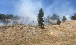 Kahramanmaraş’ta Peş Peşe Orman Yangını Korkuttu