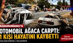 Kahramanmaraş’ta Otomobil Ağaca Çarptı: 1 Kişi Hayatını Kaybetti, 2 Kişi Yaralandı