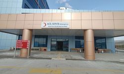 Kahramanmaraş’ta Reklam Panosu Çarptı, Kamyonetten Düşen İşçi Hayatını Kaybetti