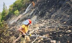 Kahramanmaraş’ta Orman Yangını Kontrol Altına Alındı
