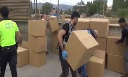 Kahramanmaraş’ta Kaçakçılık Operasyonu: 2 milyon 62 bin 500 Dal Makaron Ele Geçirildi