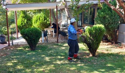 Kahramanmaraş'ta Yeşil Alanlara Bakıma ve Onarım Çalışması!