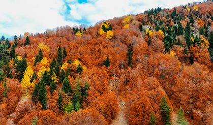 Kahramanmaraş'ta kartpostallık sonbahar renkleri