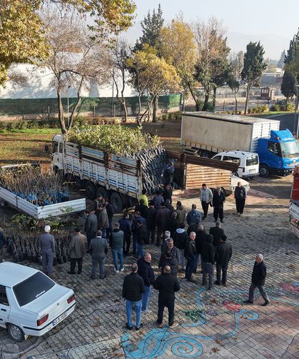 Büyükşehir’den Bin 500 Üreticiye 193 Bin Adet Fidan Desteği
