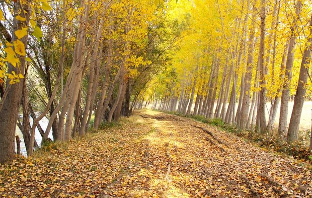 Kahramanmaraş'ta kartpostallık sohbahar manzarası
