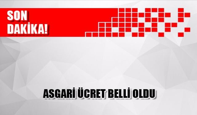 Son dakika: Asgari ücret belli oldu.. Asgari ücrete yüzde 8 artış yapıldı