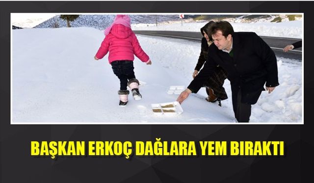 BAŞKAN ERKOÇ DAĞLARA YEM BIRAKTI