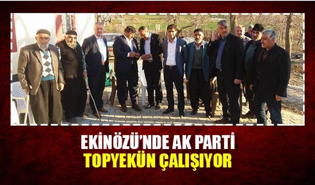 Ekinözü'nde Ak Parti topyekün çalışıyor