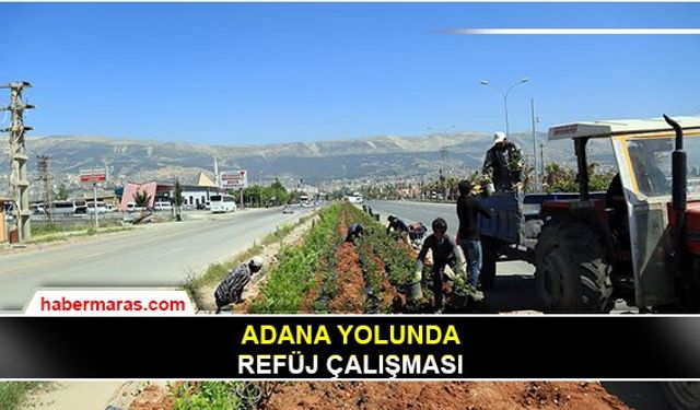 Adana yolunda Refüj çalışması