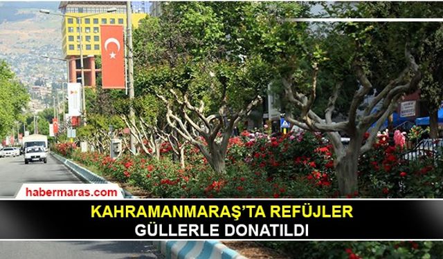 Refüjler güllerle donatıldı