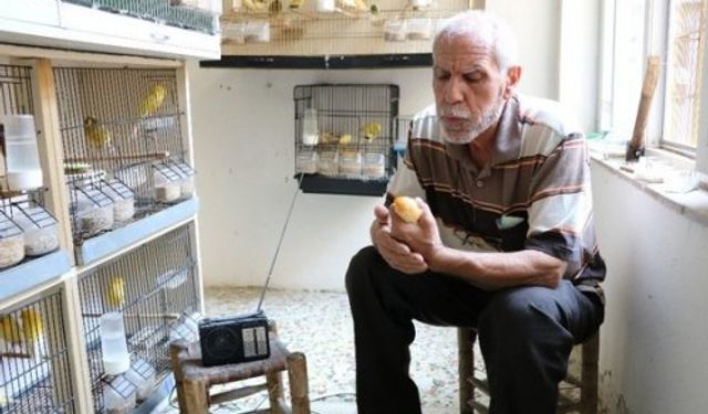 50 yıllık kuş tutkunu Nusret Sapsız, kuşlarına Türk Sanat müziği dinletiyor