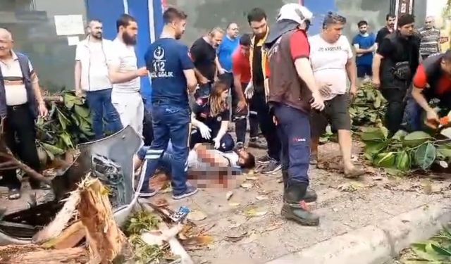 Otomobil yayalara çarptı, ağacı devirdi: 1 ölü, 3 yaralı