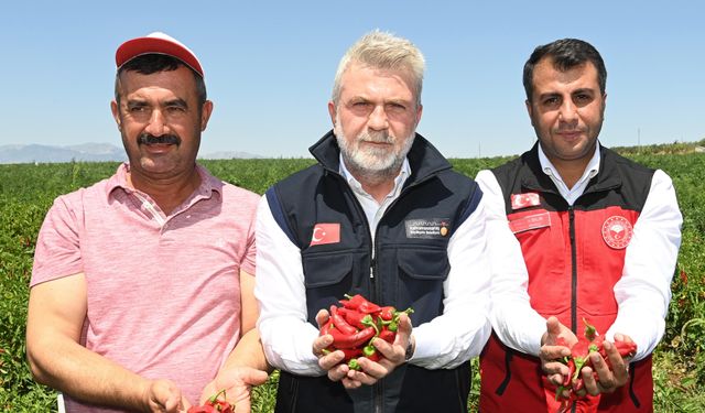 Başkan Görgel: “Maraş Biberi Hasadının Bereketli Olmasını Diliyorum”