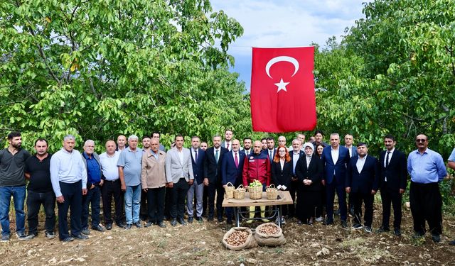 Başkan Toptaş, AB tescilli cevizlerin hasat şenliğine katıldı