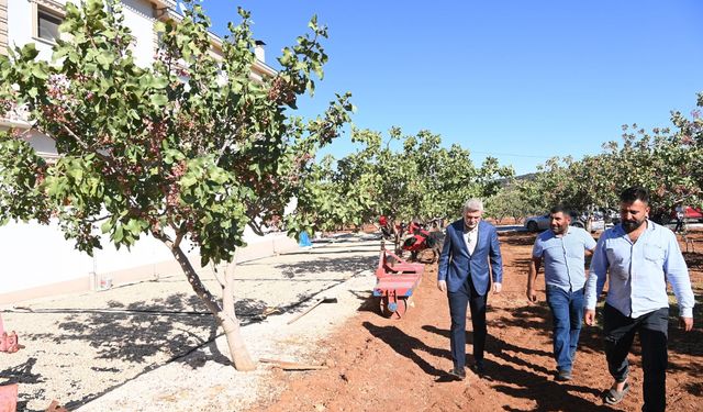 Başkan Görgel: “Pazarcık Fıstığı’nın Tescili İçin Gerekli Süreçleri Başlatıyoruz”