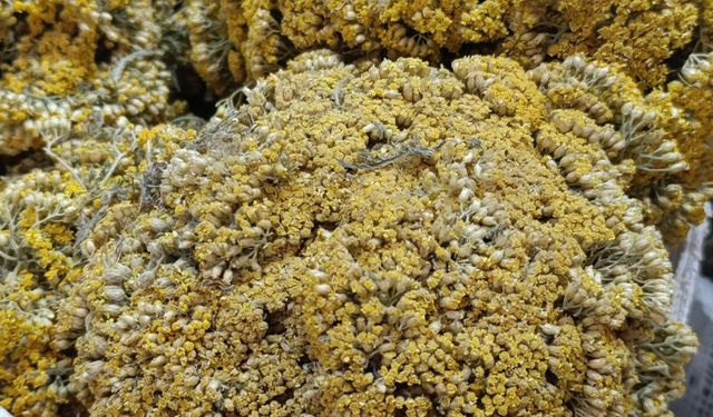 Enerji İçeceklerinin Zararlarının Bir bir Ortaya Çıktı, Doğal İçeceklere İlgiyi Arttırdı